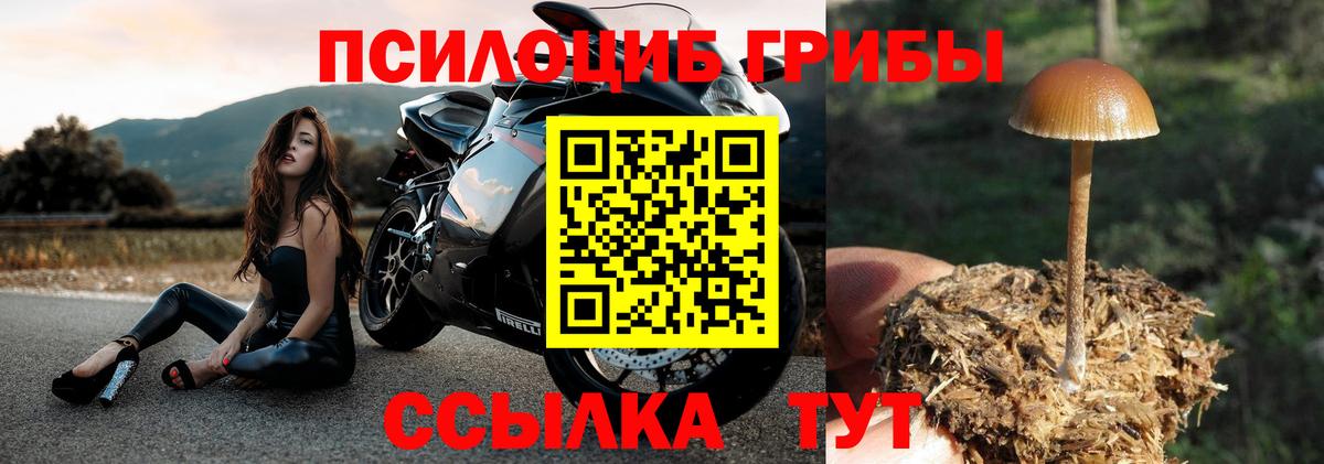 Конопля Лысьва